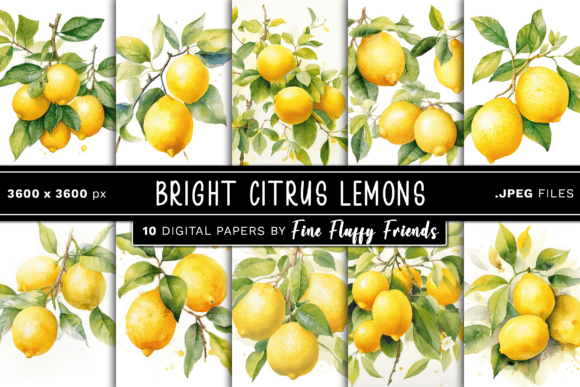 Download Citrus Lemons Digital Paper - Digital paper Collection